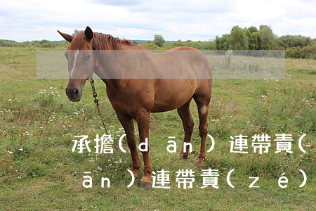 承擔(dān)連帶責(zé)任(承擔(dān)連帶責(zé)任的情形)