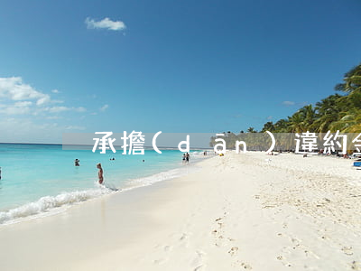 承擔(dān)違約金可以解除合同嗎