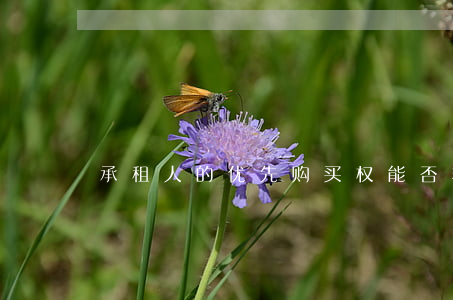 承租人的优先购买权能否转移到第三人名义