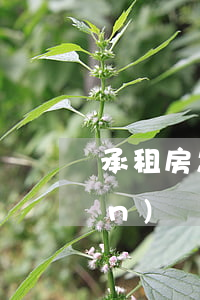 承租房怎么能繼承(租賃房有繼承權(quán)嗎)