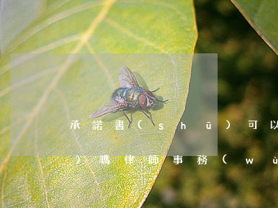 承諾書(shū)可以由律師代寫(xiě)嗎(律師事務(wù)所代寫(xiě)協(xié)議書(shū)有法律效力嗎)