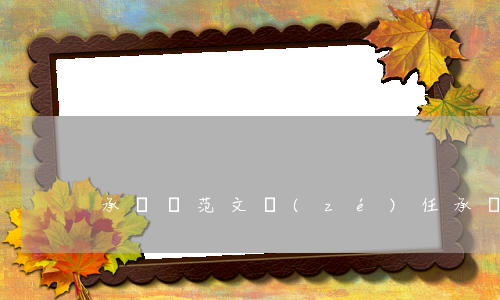 承諾書范文(責(zé)任承諾書范文)