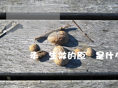 承諾生效的原則是什么