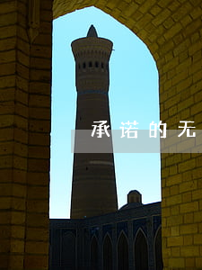 承诺的无力偿还能力(无力承担)
