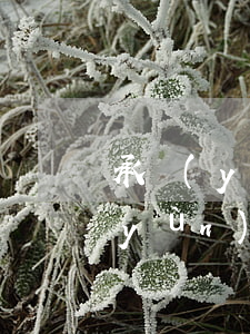 承運(yùn)人和實(shí)際承運(yùn)人應(yīng)對(duì)無(wú)單放貨承擔(dān)連帶責(zé)任