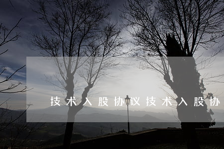 技术入股协议(技术入股协议书)