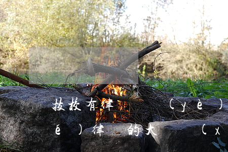 技校有律師專業(yè)嗎(有沒有學(xué)律師的大專學(xué)校)