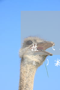 技術(shù)債務(wù)債權(quán)案律師排名靠前-技術(shù)債務(wù)債權(quán)案律師排名靠前還是靠后