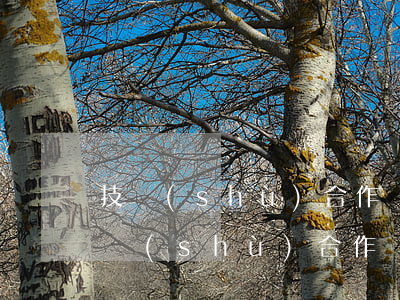 技術(shù)合作協(xié)議范本(技術(shù)合作開(kāi)發(fā)合同協(xié)議書范本)