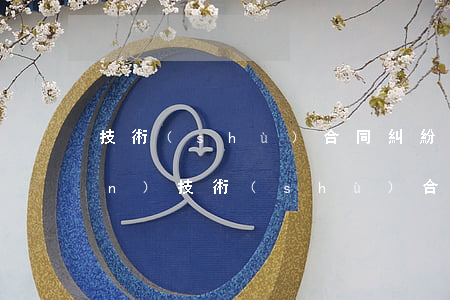 技術(shù)合同糾紛如何維權(quán)(技術(shù)合同糾紛司法解釋)