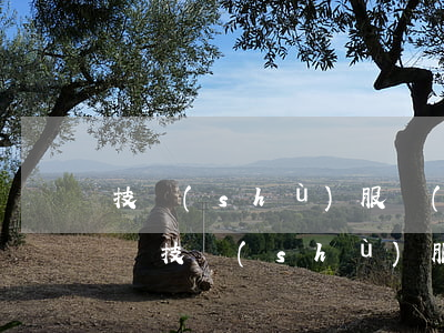 技術(shù)服務(wù)協(xié)議(技術(shù)服務(wù)協(xié)議)