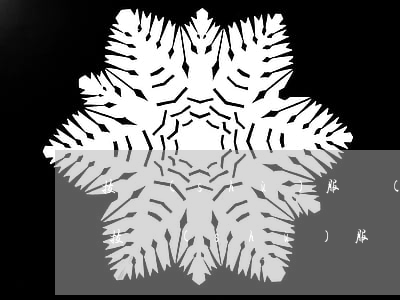 技術(shù)服務(wù)發(fā)票(技術(shù)服務(wù)發(fā)票單位和數(shù)量)