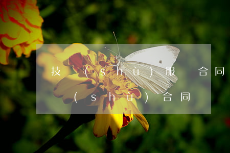 技術(shù)服務合同糾紛可以拆案嗎(技術(shù)合同糾紛屬于什么糾紛)