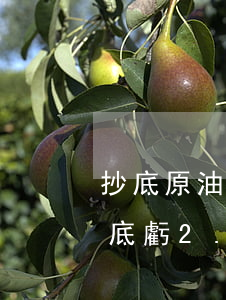 抄底原油虧完本金倒欠銀行多少錢-原油抄底虧2.6億