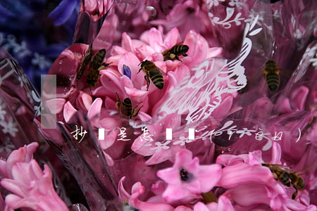 抄襲是怎樣認(rèn)定的