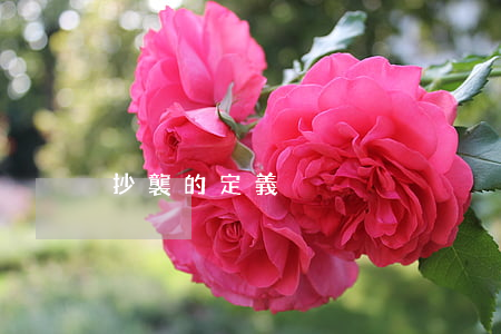 抄襲的定義