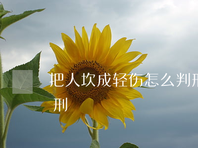 把人坎成轻伤怎么判刑(把人坎成轻伤怎么判刑)