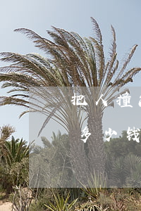 把人撞流产了赔多少钱(车祸致人流产最多赔多少钱)