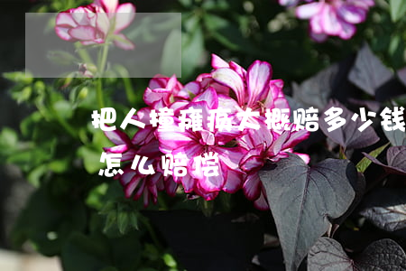 把人撞瘫痪大概赔多少钱(车祸造成对方瘫痪怎么赔偿)