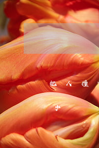 把人撞骨折一般賠多少(撞骨折一個人要賠多少錢)