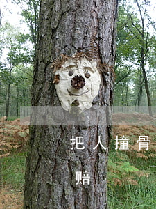 把人撞骨折一般赔多少(人被撞骨折了如何理赔)