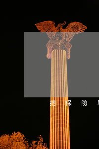 把保險單弄丟了怎么理賠