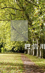 把信用卡逾期還清后銷卡五年后有影響嗎