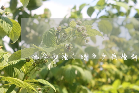把孕妇撞了赔多少钱(撞到孕妇怎么赔偿)