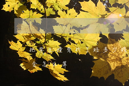 把学生撞骨折了赔多少钱(学生车祸骨折赔偿金怎么算)