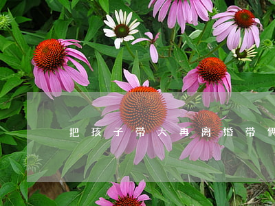 把孩子带大再离婚(带俩孩子离婚的后果)