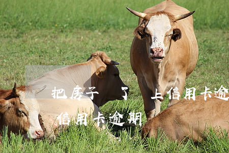 把房子賣了馬上信用卡逾期(把房子賣了馬上信用卡逾期)