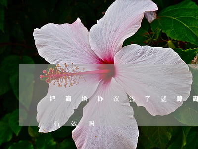 把离婚协议签了就算离婚了吗(签的离婚协议有效吗)