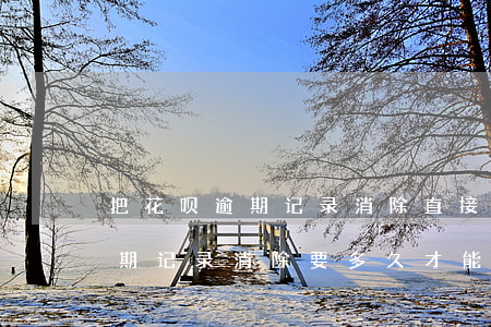 把花呗逾期记录消除直接上涨3分-花呗逾期记录消除要多久才能恢复信用