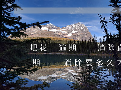 把花唄逾期記錄消除直接上漲3分-花唄逾期記錄消除要多久才能恢復信用