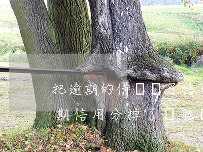 把逾期的借唄還了信用分多久提升-借唄逾期信用分掉了還能漲回來么