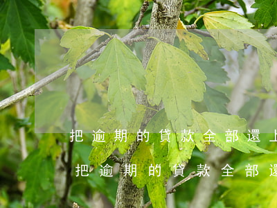 把逾期的貸款全部還上幾年后可以再貸款-把逾期的貸款全部還上幾年后可以再貸款嗎