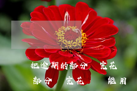 把逾期的部分還完花唄還能用嗎-把逾期的部分還完花唄還能用嗎怎么辦