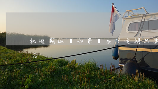 把逾期返還(如果產生了逾期,只要把逾期還清后)