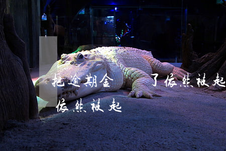 把逾期金額還了依然被起訴(把逾期金額還了依然被起訴)