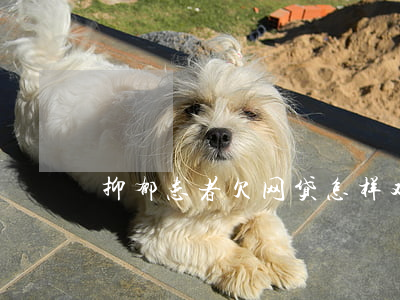 抑郁患者欠网贷(怎样对待网贷造成的抑郁症)
