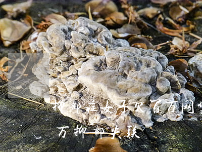 抑郁症女子欠百万网贷后失联(女孩欠债20万抑郁失联)