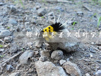 抑郁症患者欠银行贷款