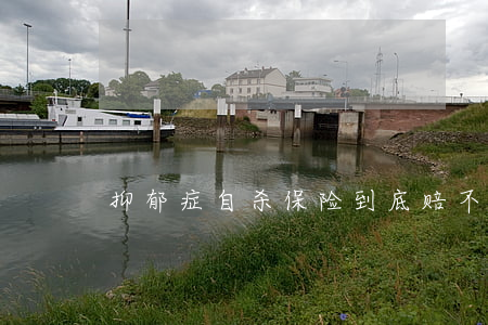 抑郁症自杀保险到底赔不赔？