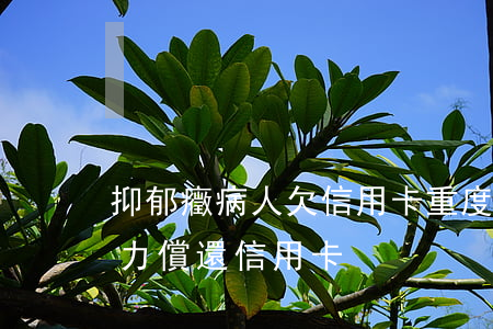 抑郁癥病人欠信用卡(重度抑郁癥無(wú)力償還信用卡)