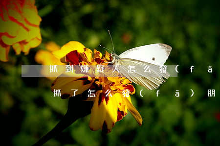 抓到嫌疑人怎么發(fā)朋友圈(被派出所抓了怎么發(fā)朋友圈)
