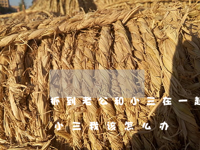 抓到老公和小三在一起怎么离婚(逮住老公和小三我该怎么办)