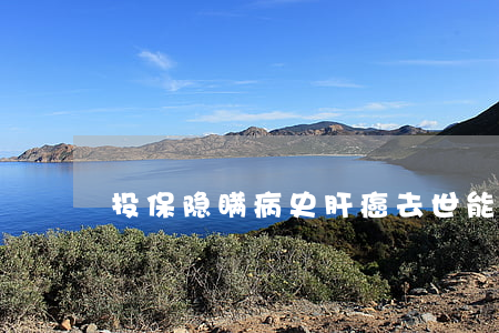 投保隐瞒病史 肝癌去世能否理赔？