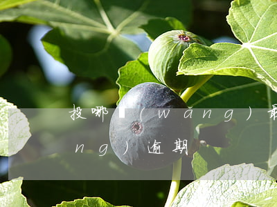 投哪網(wǎng)最新消息（投哪網(wǎng)逾期）