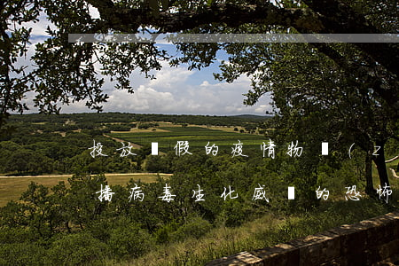 投放虛假的疫情物質(zhì)或編造、傳播病毒生化威脅的恐怖信息,應(yīng)承擔(dān)何種法律責(zé)任