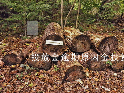 投放金逾期原因(金投贷款逾期)